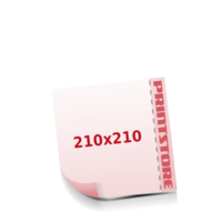 1 Perforationslinie  210x210mm Flugblätter mit bis zu  6 Druckfarben drucken beidseitiger Online-Druck Flugblätter mit Perforierung