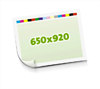 Sammelformen bedrucken  1-6 färbige Schöndrucke nutzenmontierter Standbogen Bogenformat 650x920mm einseitig bedruckte Planobogen