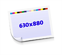 Sammelform  1-6 färbige Schöndrucke nutzenmontierter Standbogen Bogenformat 630x880mm einseitig bedruckte Planobogen 