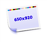 Druckform  1-6 färbige Schön- & Widerdrucke nutzenmontierter Standbogen Bogenformat 650x920mm beidseitig bedruckte Plano-Druckbogen 2 Garnituren Druckplatten 