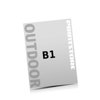  4 цветной Лайт постеры  B1 (700x1000mm) одностранично напечатана Лайт постеры