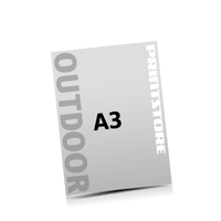  1-5 цветной Лайт постеры  A3 (297x420mm) одностранично напечатана Лайт постеры